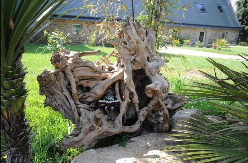 Le Domaine De Saint-Thomin Acomodação com café da manhã Nostang Exterior foto