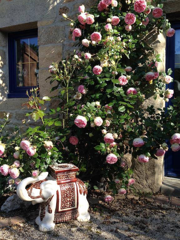 Le Domaine De Saint-Thomin Acomodação com café da manhã Nostang Exterior foto