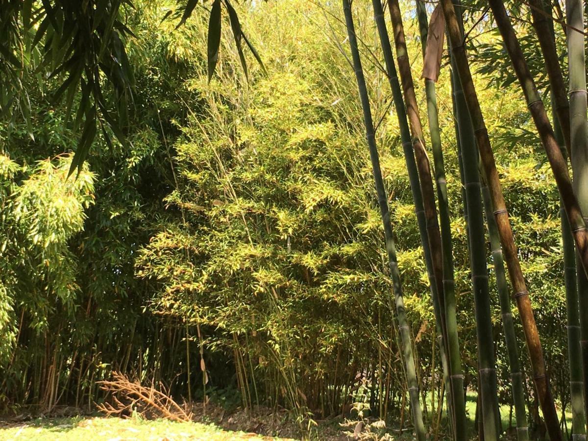 Le Domaine De Saint-Thomin Acomodação com café da manhã Nostang Exterior foto